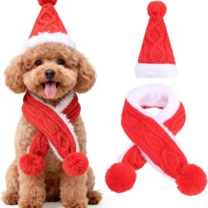 PAWCHIE Fantasia de Natal para gatos – Chapéu de Papai Noel e cachecol para gatos, cães pequenos, conjunto de fantasias de Natal para gatos e filhotes