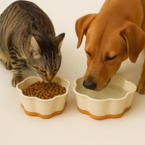 Kit Comedouro + Bebedouro Antiderrapante para Pet Cães e Gatos – Formato Pata | Tigelas Duplas para Ração e Água | Plástico Durável, Base Estável Antiderramamento