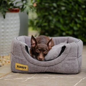 Cama iglu toca para cachorro e gato, cama 2x1 para cachorro ou gato com almofada, TAM. G Luxo