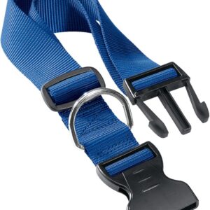 Ferplast Club C25/70, Coleira para Cães, Azul Ferplast para Cães, Azul