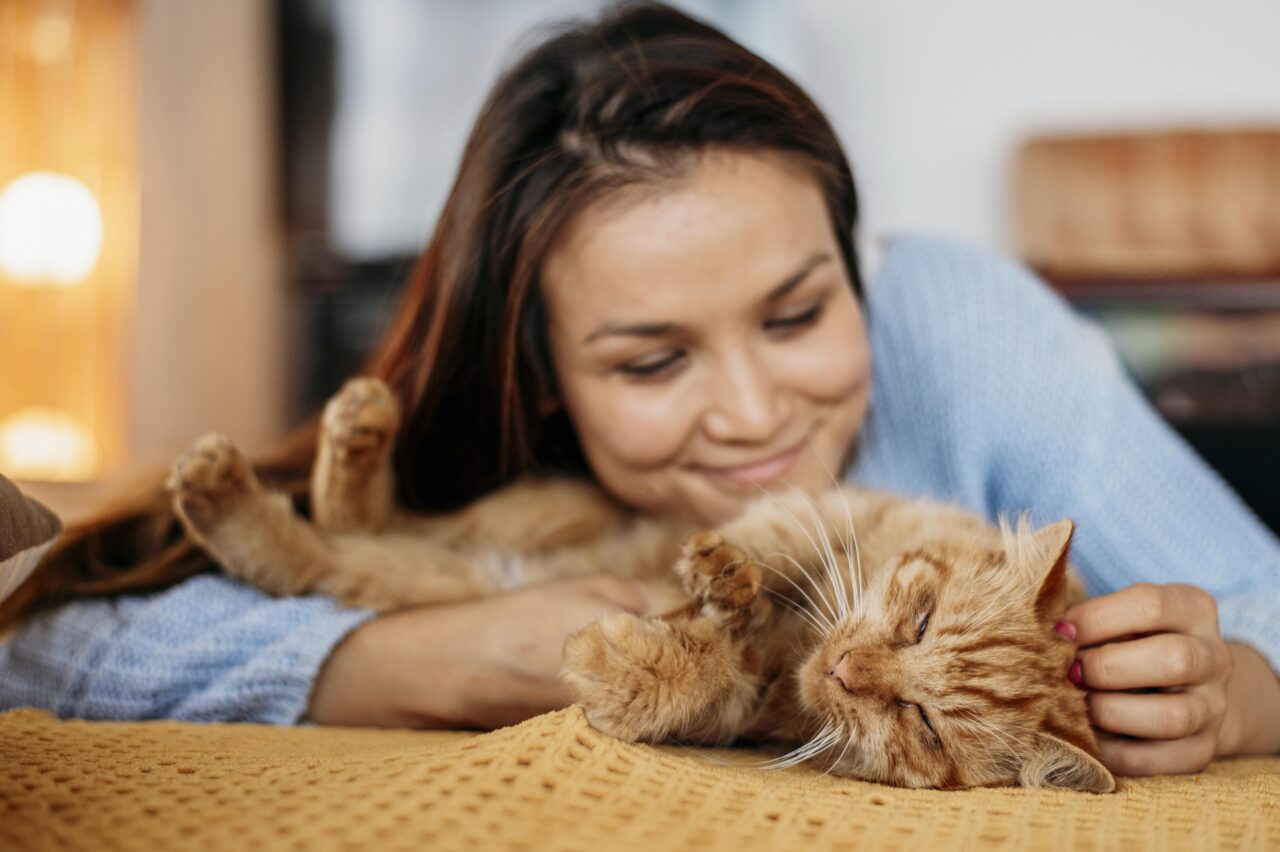 Dia Mundial do Gato: Elanco reúne orientações e soluções para apoiar a saúde e o bem-estar dos felinos