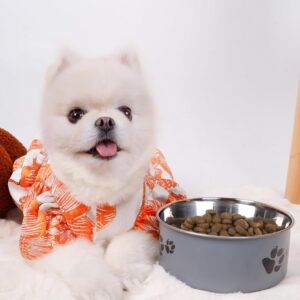 Tigela de aço inoxidável para cães – Tigela fácil de limpar – Adequada para alimentação diária para amantes de animais de estimação