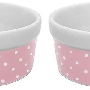 Kit Comedouro e Bebedouro de Porcelana 300ml Rosa Bolinhas