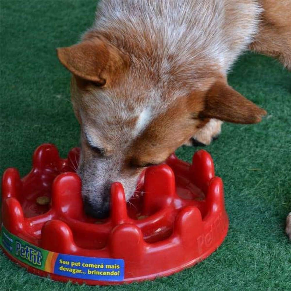 Comedouro Lento Funcional Mini Pet Fit Vermelho Pet Games para Gatos - Imagem 2