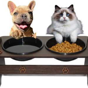 Comedouro Elevado Pet Duplo para Cães e Gatos Bebedouro Água e Pote para ração MDF Pequeno porte