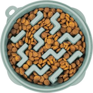 Outward Hound Fun Feeder Slo Bowl, tigela média lenta para cães, 2 xícaras, sálvia