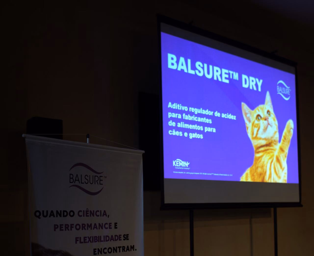 Kemin lança BALSURE™ DRY e amplia soluções focadas no bem-estar e longevidade através da nutrição