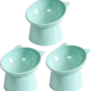 Kit Comedouro Gatos Elevado Ergonômico Individual Lindo - VERDE