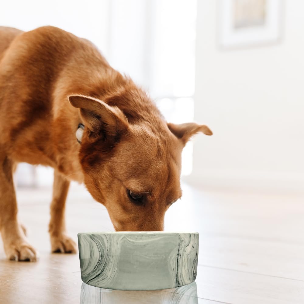 Chalesco Bowl de Cerâmica Magno Tam G 1200ml para Cães – Design Elegante, Alta Durabilidade e Máxima Estabilidade - Imagem 2