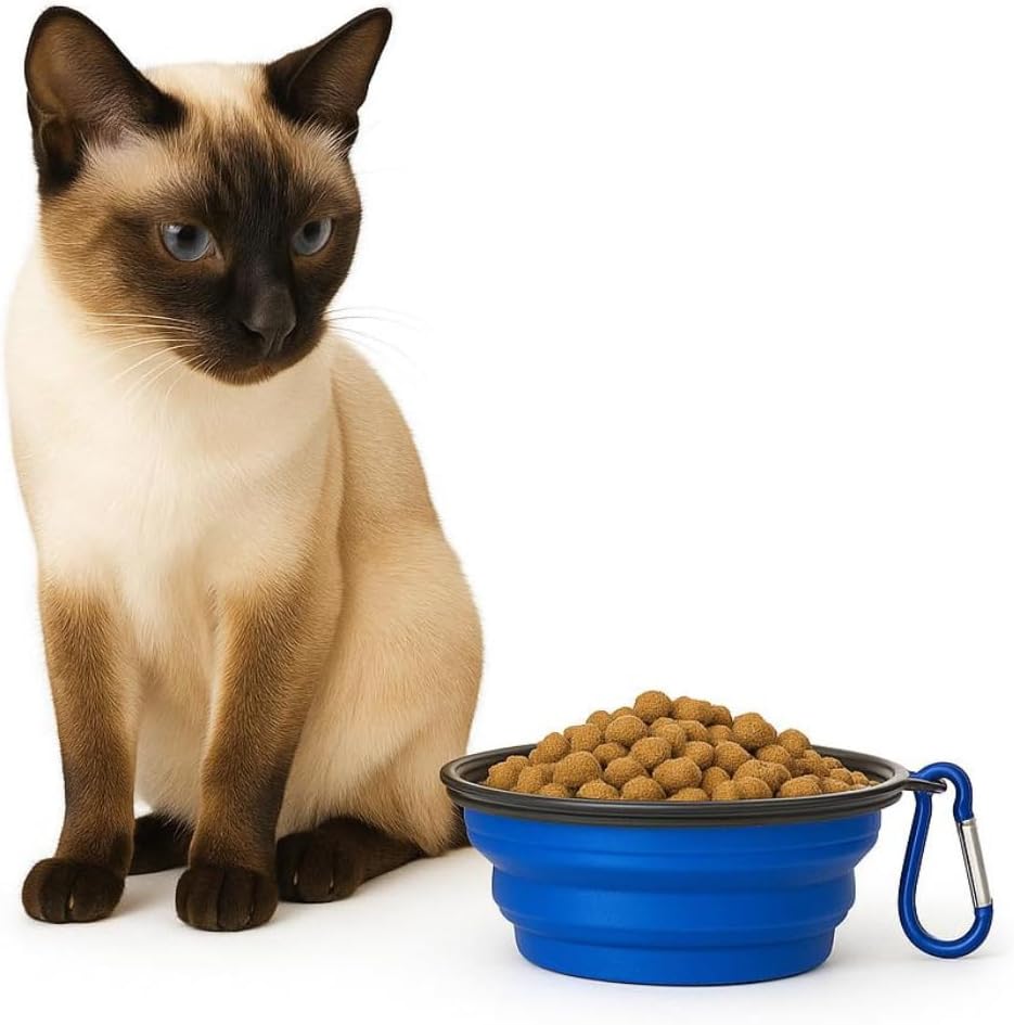 Pote Tigela pet portátil Comedouro e Bebedouro de Silicone 350ml para cães e gatos (Preto) - Imagem 4