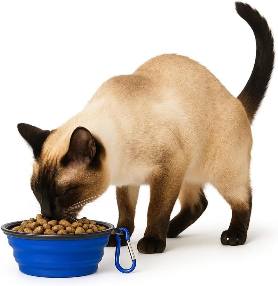 Pote Tigela pet portátil Comedouro e Bebedouro de Silicone 350ml para cães e gatos (Preto) - Imagem 5