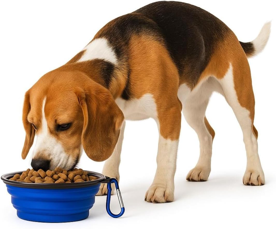 Pote Tigela pet portátil Comedouro e Bebedouro de Silicone 350ml para cães e gatos (Preto) - Imagem 3