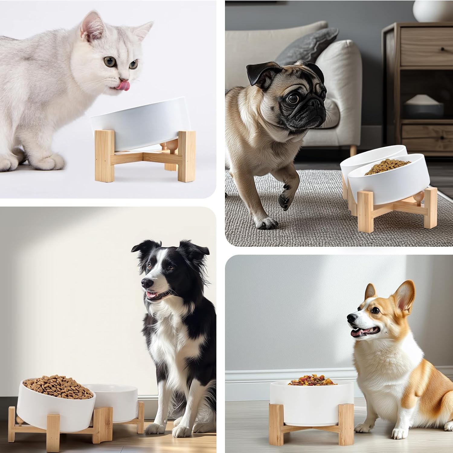 Tigela de cerâmica inclinada para cães e gatos de 15° com suporte de madeira, tigela de água e alimento de buldogue inclinado, não escorrega para animais de estimação de rosto grande branco 822 g - Imagem 8
