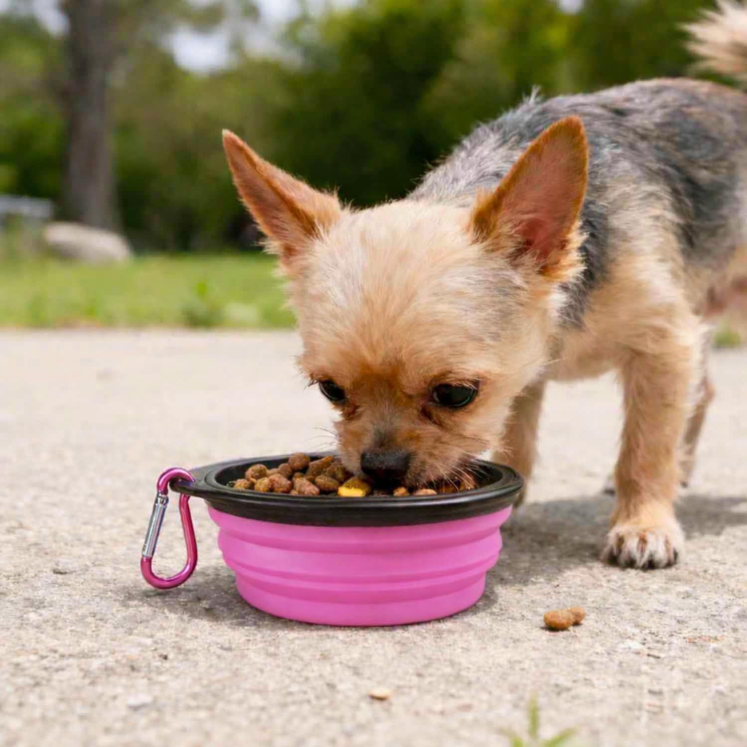 Comedouro e Bebedouro Portátil Dobrável Retrátil Em Silicone 350ml Para Pets Cães Gatos Tigela Compacta Com Mosquetão Ideal Para Servir Água Ração Na Caminhada Passeios Viagens Uso Diário (Rosa) - Imagem 8