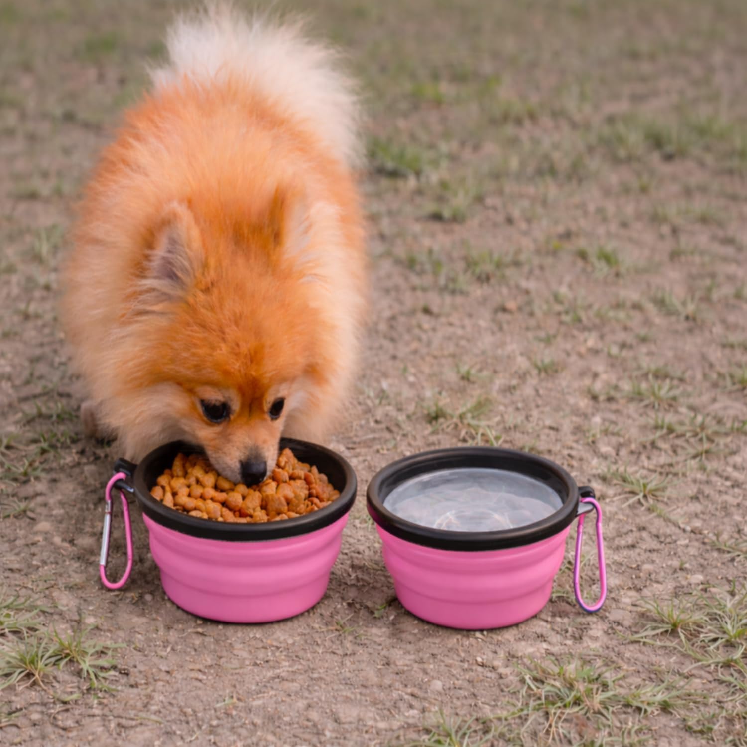 Comedouro e Bebedouro Portátil Dobrável Retrátil Em Silicone 350ml Para Pets Cães Gatos Tigela Compacta Com Mosquetão Ideal Para Servir Água Ração Na Caminhada Passeios Viagens Uso Diário (Rosa) - Imagem 4