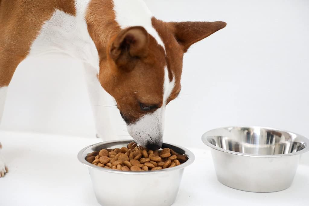Chalesco Tigela Inox 750 ml para Cães - Imagem 4