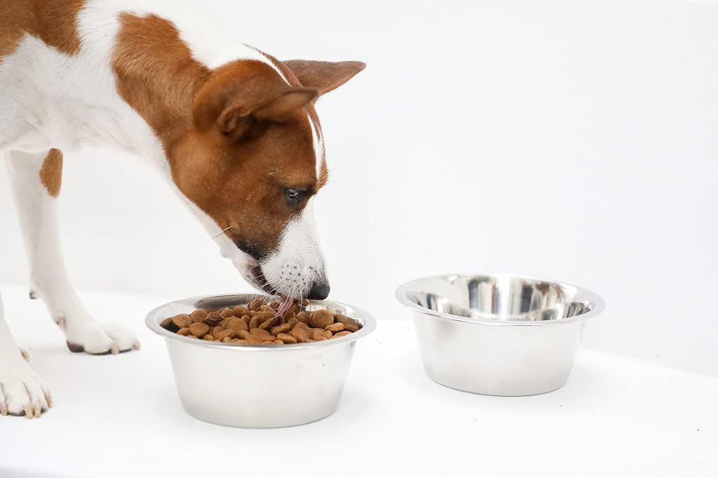 Chalesco Tigela Inox 750 ml para Cães - Imagem 3