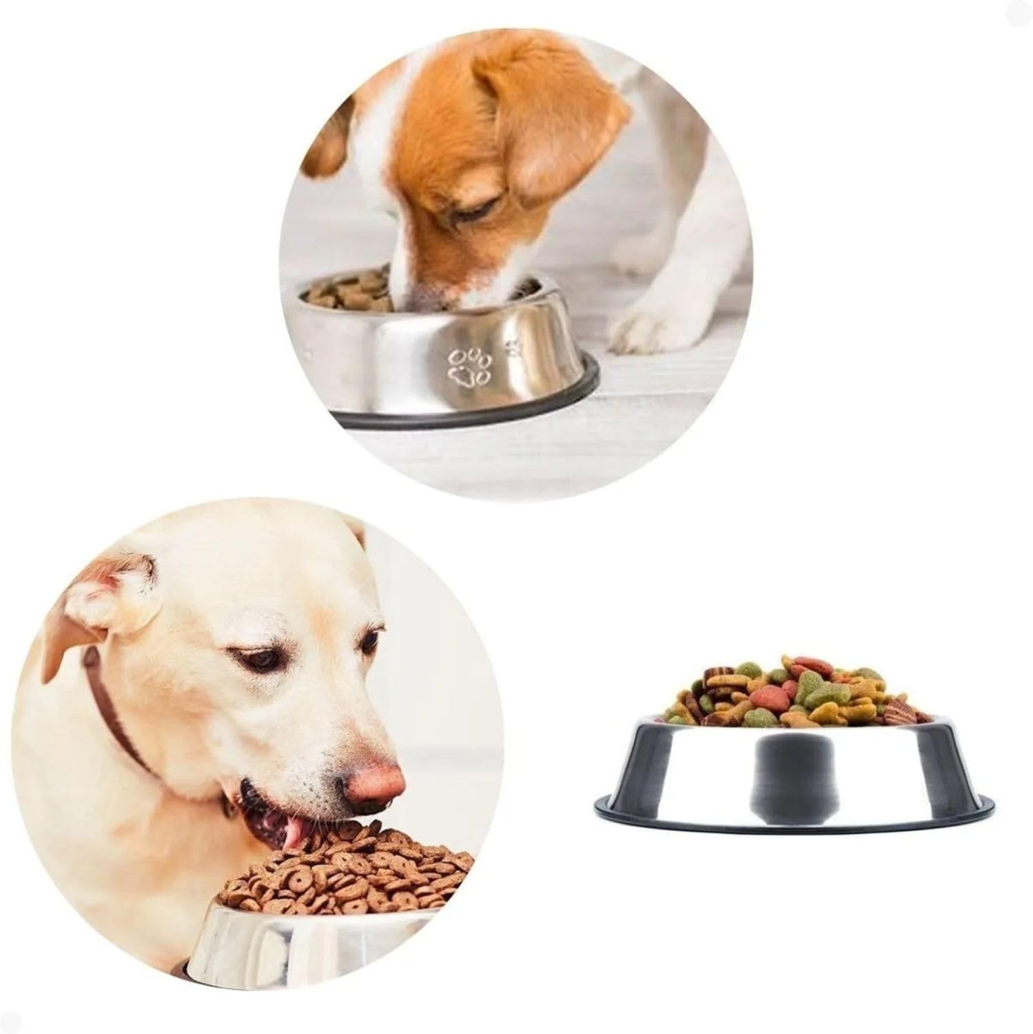 Kit 2 Comedouro 150ml Inox Tigela Pote Ração Água Pra Cães Filhotes e Gato - Imagem 4