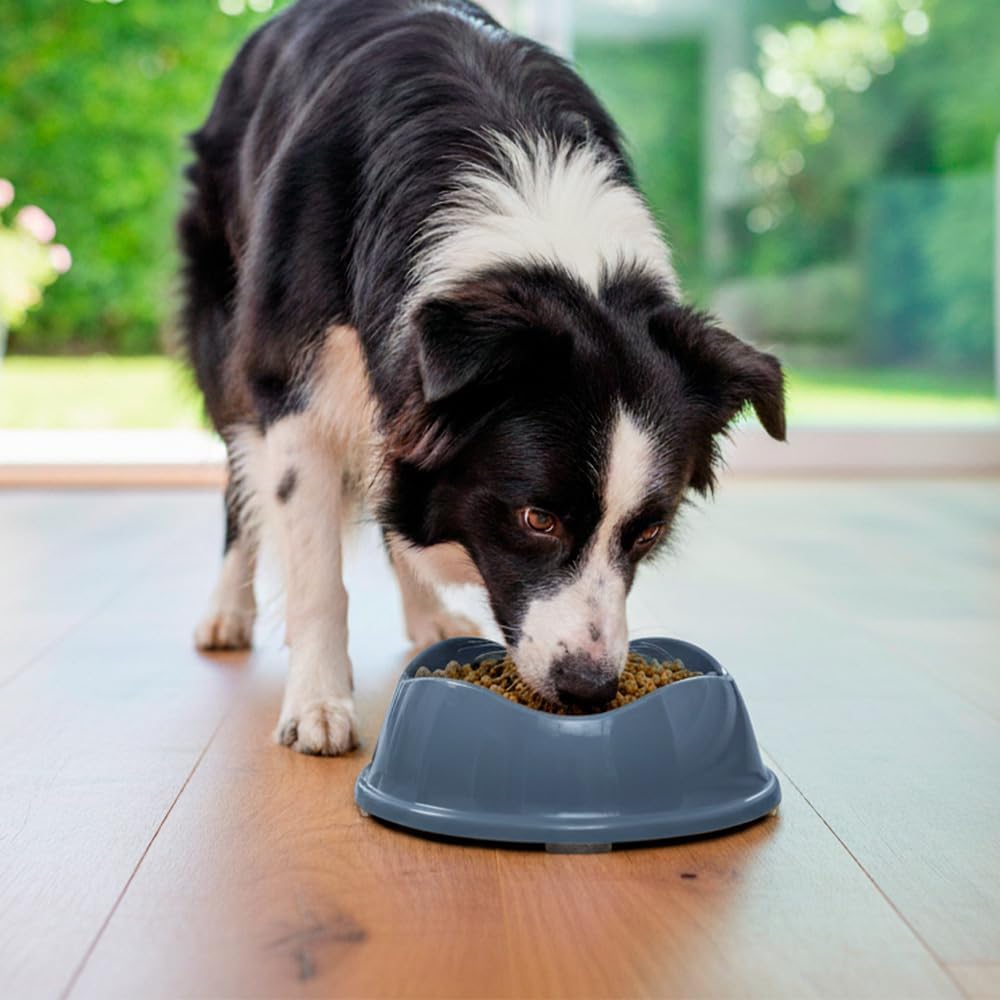 Comedouro Antiderrapante Stark Bowl, 1000 mL, para Cães De Médio Porte, Cor Cinza - Imagem 4