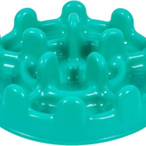 Pet Games Comedouro Lento Funcional Pet Fit Verde Agua Para Cães