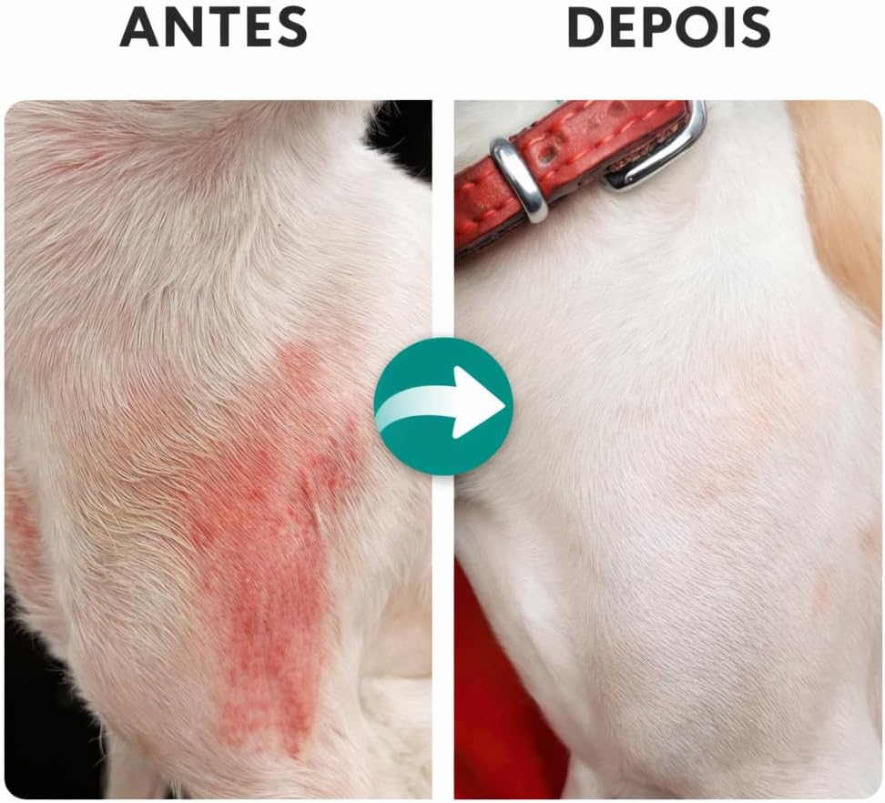 Aloe Pet Gel Hidratante Natural de Babosa 100% Natural para Dermatites em Cães e Gatos, 200ml, Uso Veterinário, Orgânico - Imagem 4