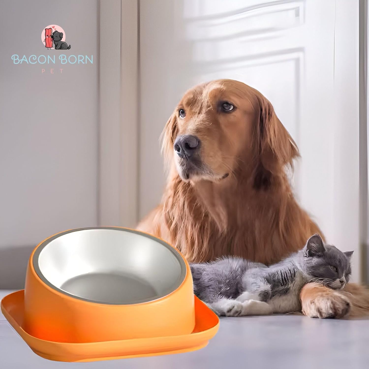 Comedouro e Bebedouro Pet Anti Formiga Pote Ração Duplo Cães Gatos Inox Unitário (Azul) - Imagem 6