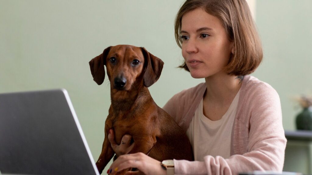 Entre a emoção e a ética: os desafios da comunicação no mercado veterinário
