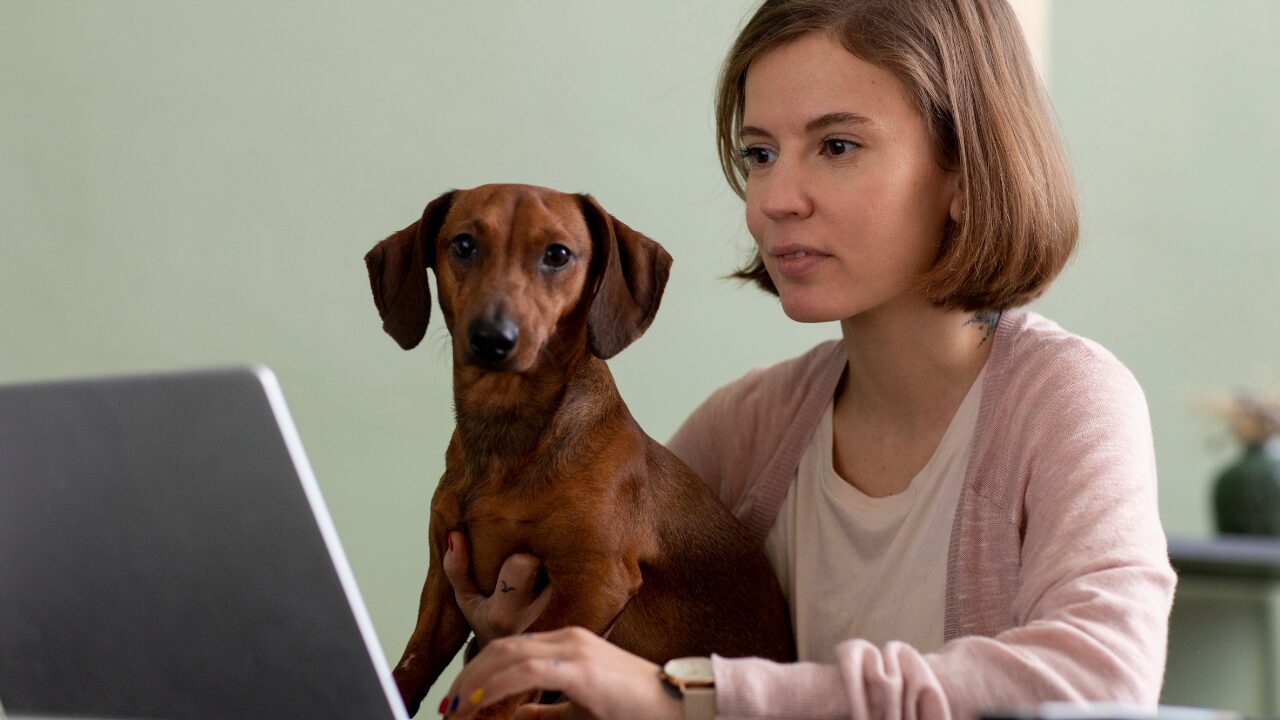 Entre a emoção e a ética: os desafios da comunicação no mercado veterinário