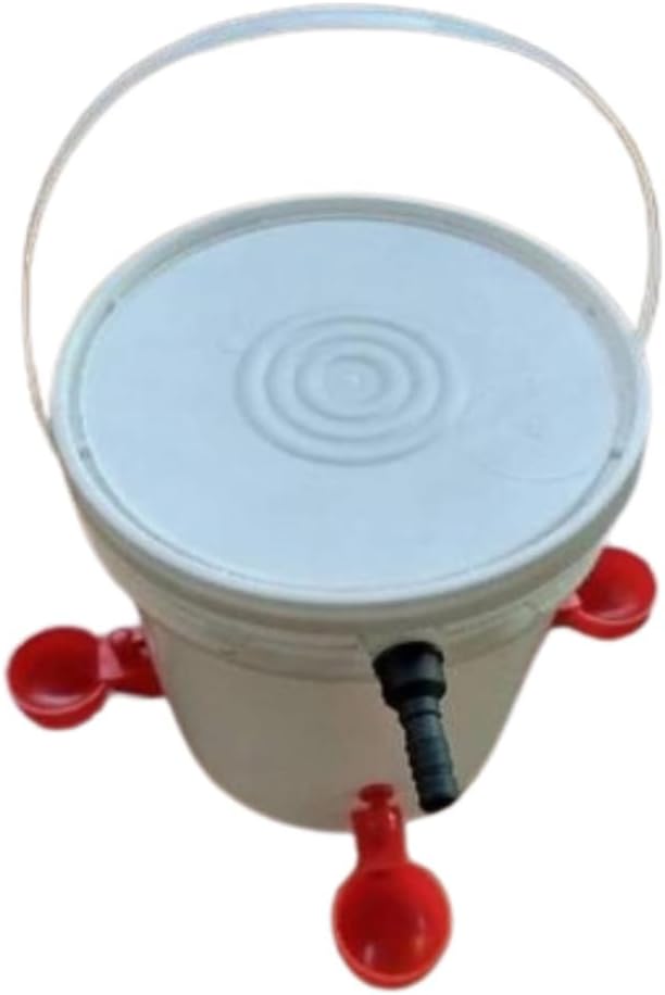 Bebedouro Pet Com Boia Mais 4 Copinhos autmáticos Para Aves Galinha Codorna e Outros - Imagem 2
