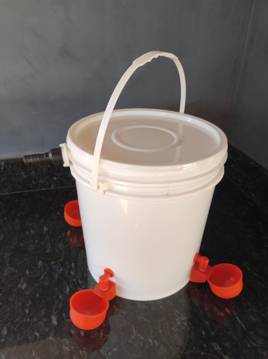 Bebedouro Pet Com Boia Mais 4 Copinhos autmáticos Para Aves Galinha Codorna e Outros - Imagem 7
