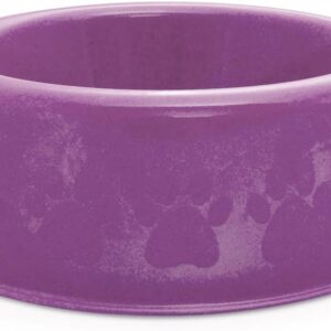 PET INJET - Comedouro Plástico Patinha Médio 1900ml Lilás