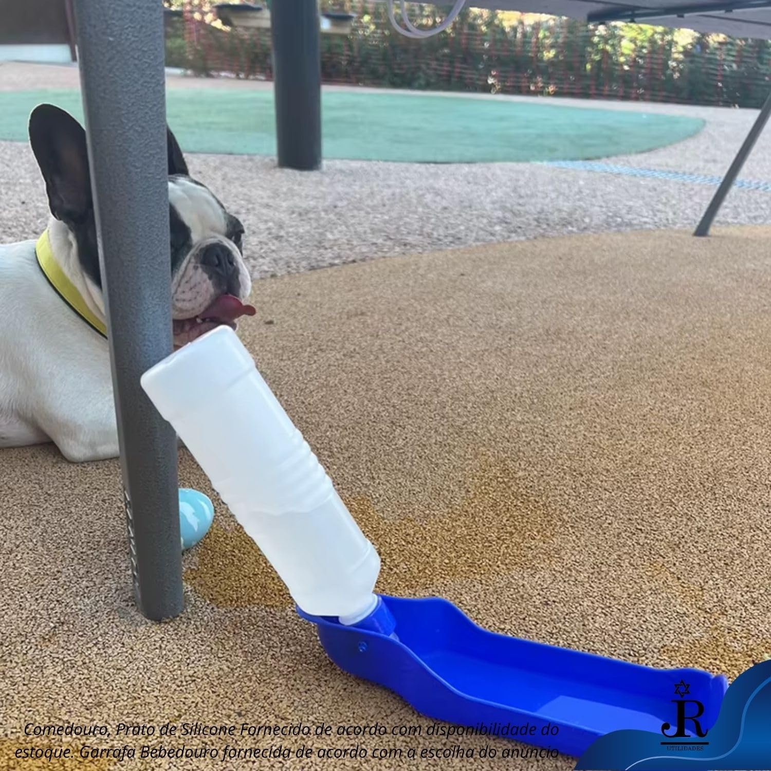 Kit Bebedouro Garrafa Agua Viagem Passeio PET + Tigela Comedouro Retratil Silicone para Ração, Comida e Solidos Disco de Lançar - RJI Utilidades (Azul Royal) - Imagem 2