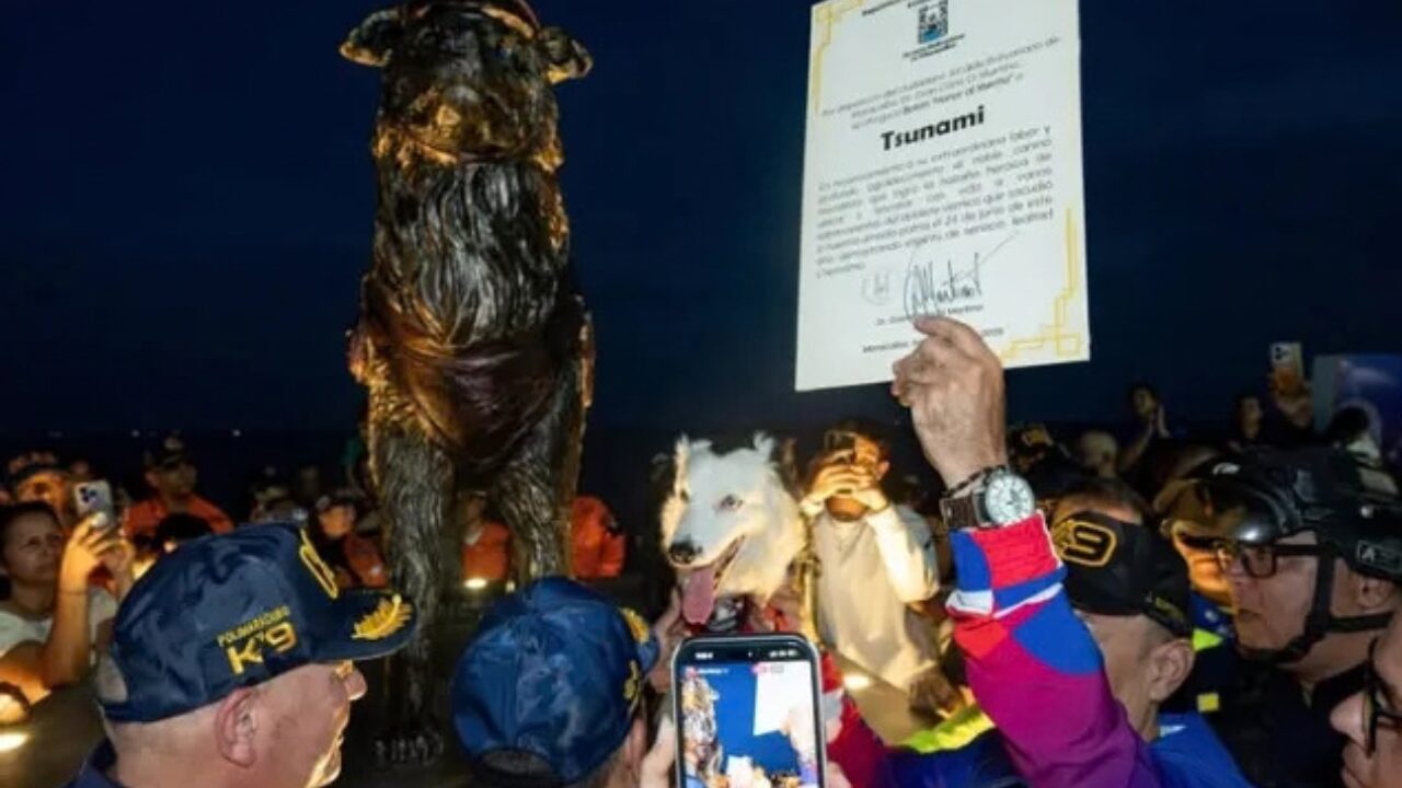 Cão Tsunami ganha estátua na Venezuela após salvar 26 pessoas em terremoto