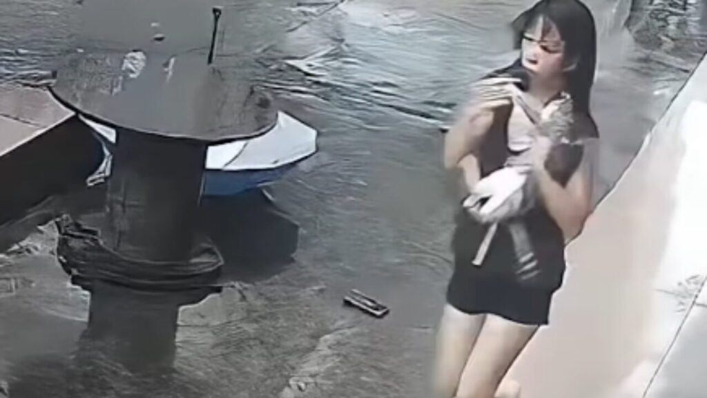 Mulher usa guarda-chuva para amortecer queda de gato que caiu de prédio na China